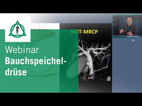 Webinar „Bauchspeicheldrüse – Leistungsträger, manchmal zänkische Diva!“ | Asklepios Klinik Altona