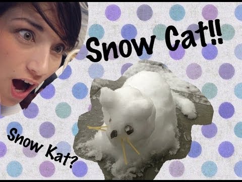 VLOG: Making of snow Cat