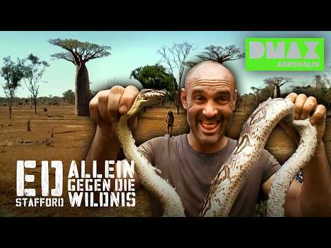 Kampf gegen HUNGER und Hitze 🐍🌡️😵‍💫 | COMPILATION | Ed Stafford: Allein gegen die Wildnis
