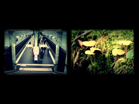 Video thumbnail for ❦ (Piano)