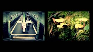 Alt-J // Interlude #3