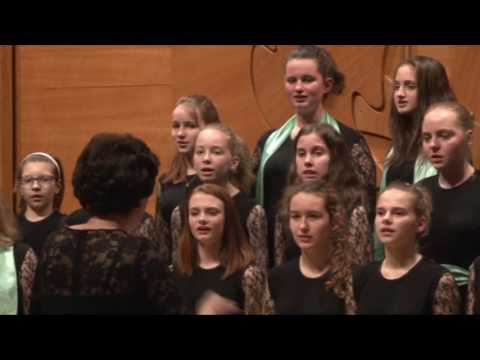 Slavnostní koncert k 60. výročí - 10.5. 2017 - 1. PS Adijamus