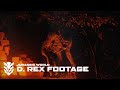 D Rex Caught On Camera