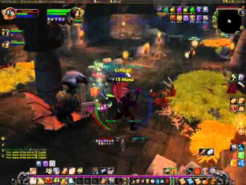 PALLY DPS on Deathwing Server