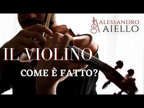 Tutorial Il Violino Come è fatto? | Lezione 1 Dancla App Lezioni di Violino (Eng sub)