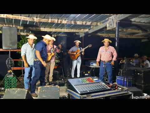 Cantadera Fiesta de Reinaldo Oda 2025- Eleuterio Cardenas Efrsin Cordoba - Willy Rodriguez.