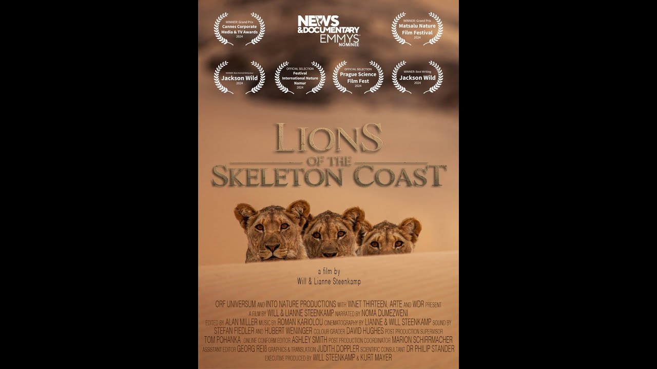 LIONS OF THE SKELETON COAST Official Trailer |  NATURE & WILDLIFE | Ster-Kinekor