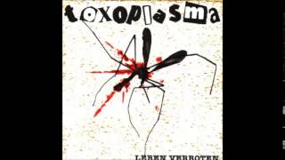 Toxoplasma - Stillstand