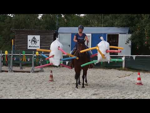 RVM Reiterfest und Wanderritt 2018