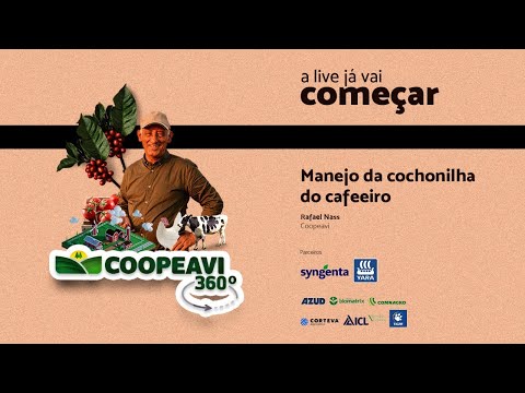 Coopeavi 360º - Manejo da cochonilha do cafeeiro