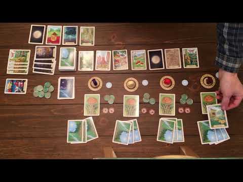 Morels Foray Video Rulebook: 4 Players