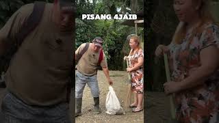 Download lagu Minta Pisang #manado #bakusedu #manadobakusedu #tatawa #grapgrap #lucu #tertawaadalahobat #fyp mp3