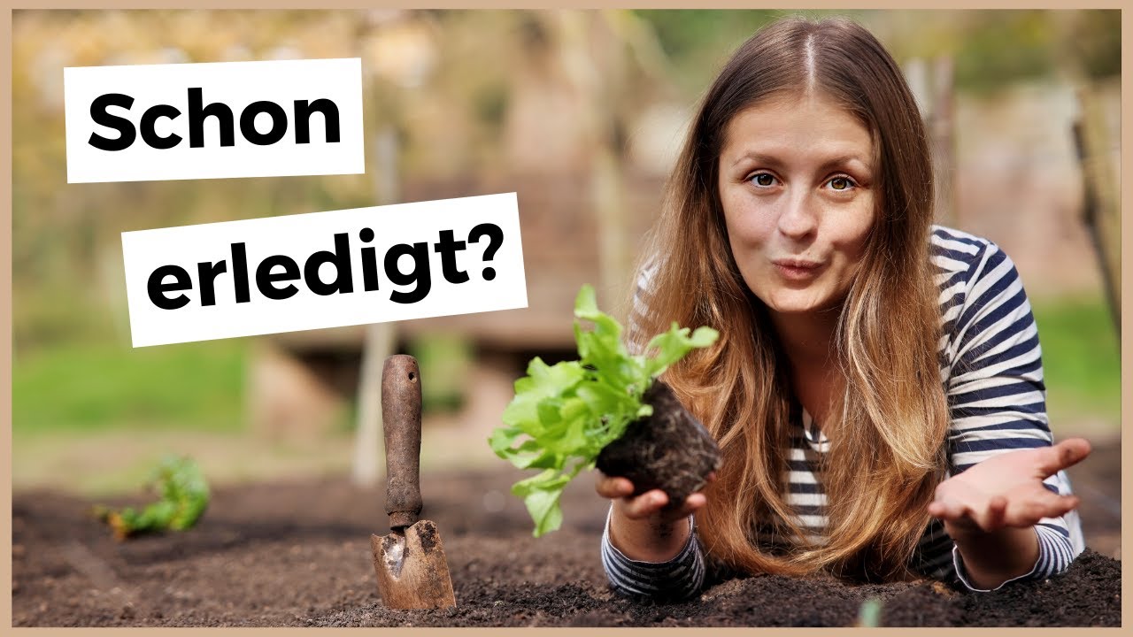 youtube video id=fAMcvQ0P7yo