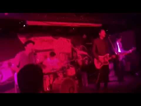 The Darlies - In my Storm - Live @ The Adelphi Hull 8.6.18