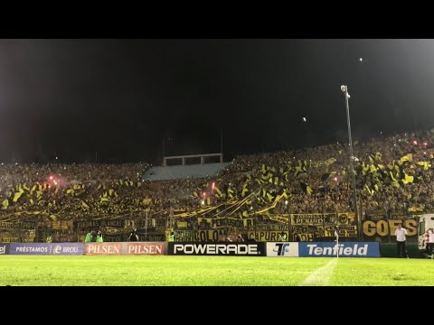 ""BOLSO VOS SOS UN CAGÓN" | PEÑAROL - BARRA AMSTERDAM (Sub: ES/EN)" Barra: Barra Amsterdam &bull; Club: Peñarol