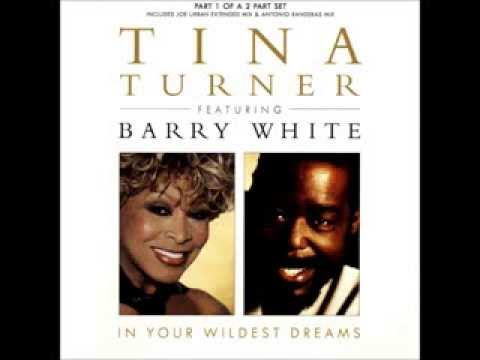Tina Turner & Barry White   In Your Wildest Dreams 1996