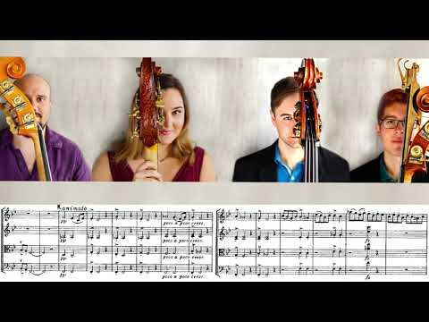 Edvard Grieg | String Quartet No.1 in G minor, Op.27 | I. Un poco andante - Allegro molto ed agitato