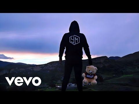 Alan Walker x The Irrepressibles - In This Shirt (Official Music Video 2024)