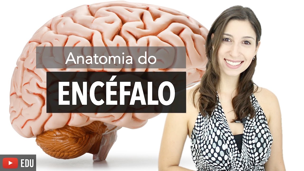 Sistema Nervoso 2/6: Anatomia do Encéfalo e Estruturas de Proteção | Anatomia e etc.