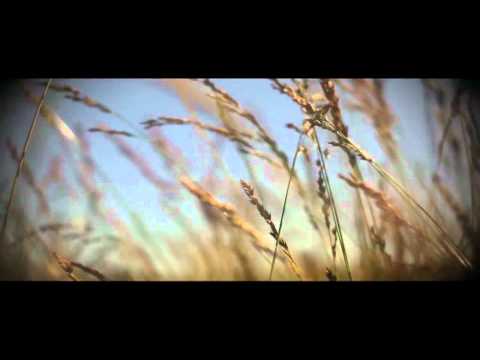 Songs: Ohia - Nervous Bride