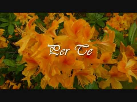 Una poesia anche per te - Elisa - con testo in scorrimento