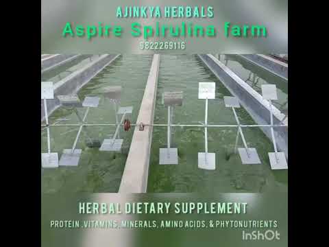 Spiruliina Spirulina Powder for Personal, Packaging Type: Plastic Bags