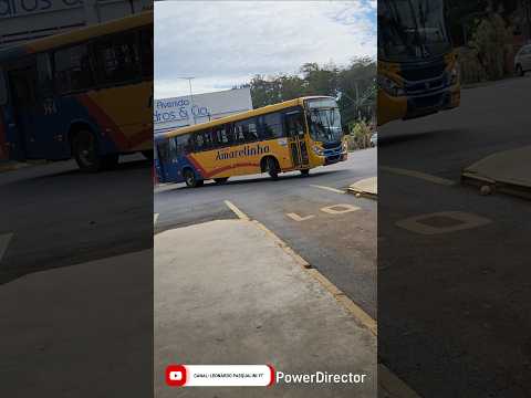 EXPRESSO AMARELINHO DE CAPÃO BONITO PARA RIBEIRÃO GRANDE #expressoamarelinho#bus#busologia#marcopolo