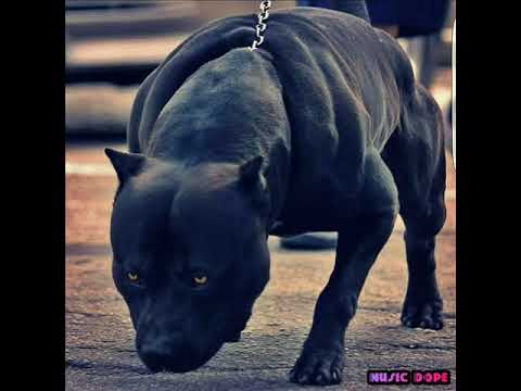 Misha Klein - What is love