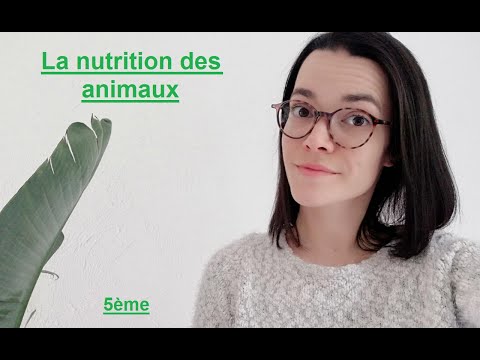 La nutrition des animaux - 5ème - Madame SVT