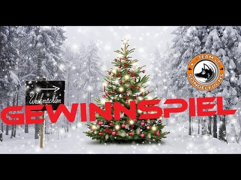 🦊Weihnachtsgewinnspiel🦊Sondeln🦊MinelabFundbox