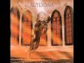 Artrosis - Morpheus 