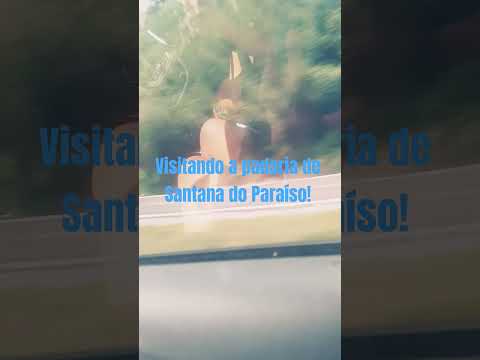 Visitando a padaria de Santana do Paraíso, MG!