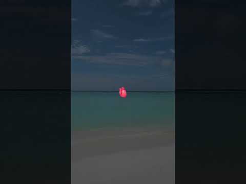 Home💙🩵#maldives#beach#summer#nasheed