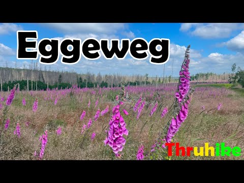 Eggeweg, Juni 2024, Wochenend-Tour