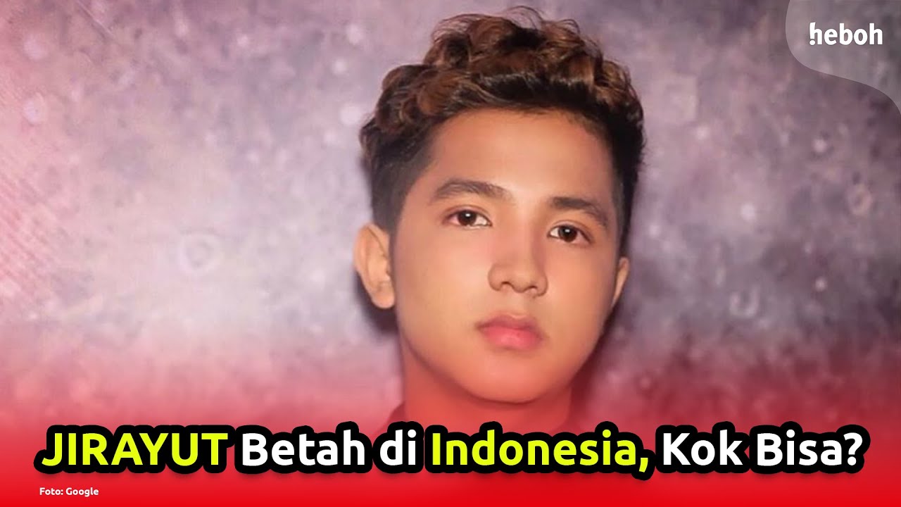 Jirayut Betah di Indonesia, Kok Bisa?