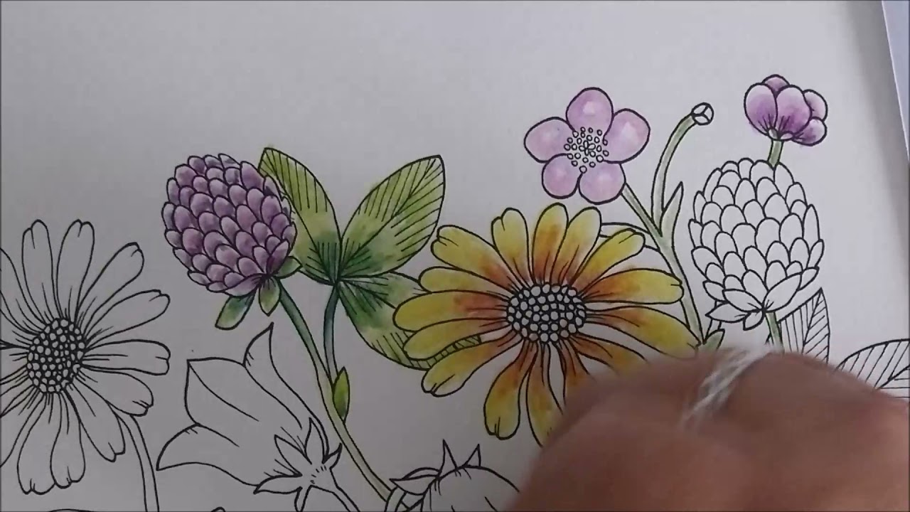 [ Coloriage ] Découverte des crayons Progresso Aquarell de Koh i Noor