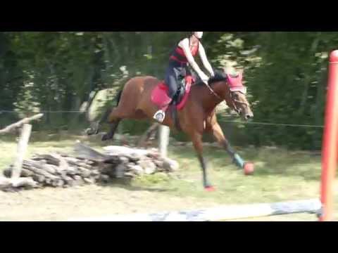 Cross à domèvre-sous-montfort