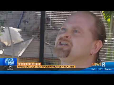 Help Build the ARC (Avian Rehabilitation Center)