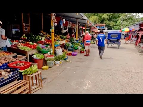 MOYOBAMBA, SAN MARTÍN 🇵🇪 conociendo el Mercado 