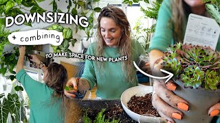 Getting Rid of Plants + Combining (to make space for new plants) 😏