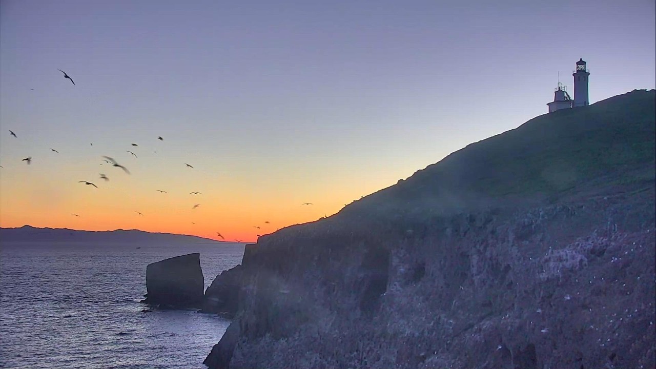 Live webcam view of Anacapa Island Cove Lookout