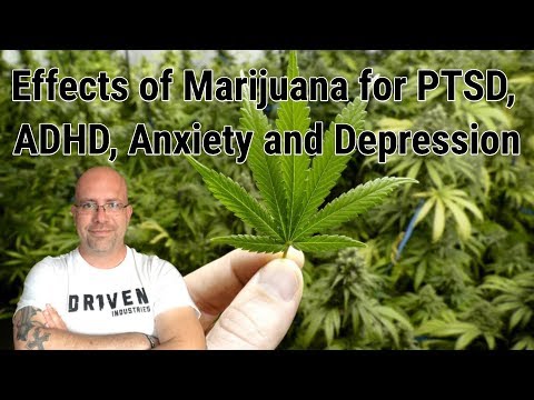 Effects of Marijuana for PTSD, ADHD, Anxiety and Depression