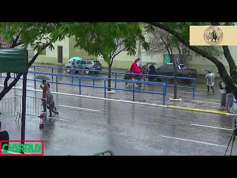 DESFILE FARROUPILHA 2025 DE URUGUAIANA RIO GRANDE DO SUL