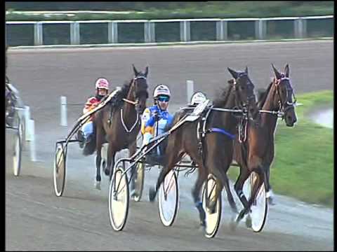 Trotto 29/11/2015 - 4° corsa