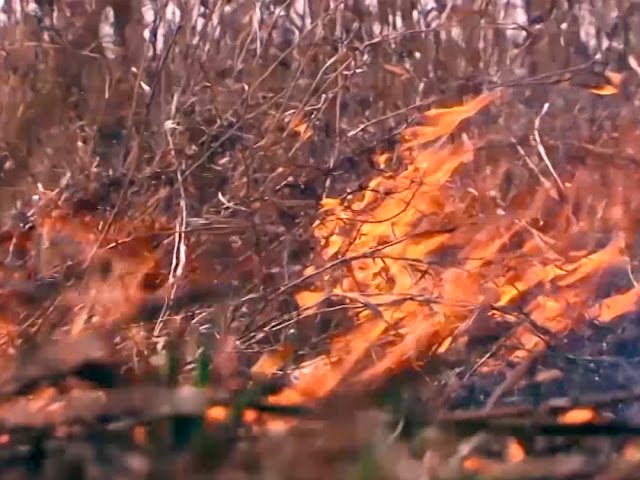 Снова горим