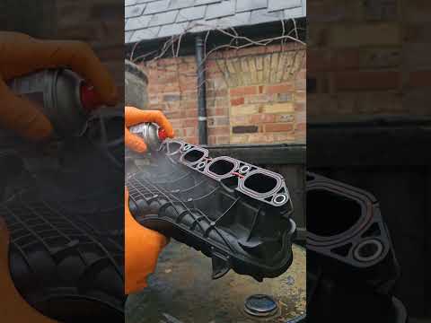 Thumbnail for manifold cleaning #toyotapriusprime #prius #mechanic #toyota #hybridfix by Toyota Prius V