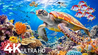 Dive Into the Mesmerizing Underwater Realm