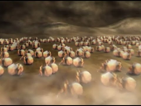 download lagu mp3 mp4 7 Canto Inferno, download lagu 7 Canto Inferno gratis, unduh video klip 7 Canto Inferno