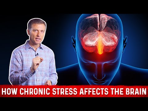 The Only Way to End Stress and Lower Cortisol