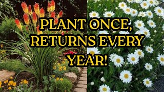 15 Best Long-Blooming Perennials: Plant Once, Returns Every Year! | Self-Seeding Perennials!
